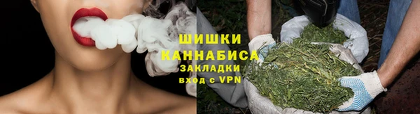 индика Ростов