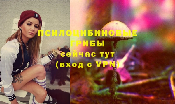 индика Ростов