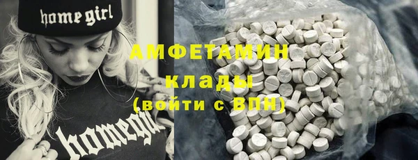индика Ростов