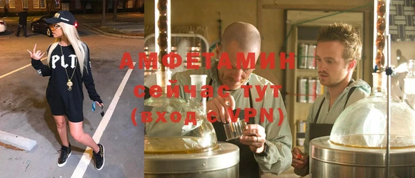 индика Ростов